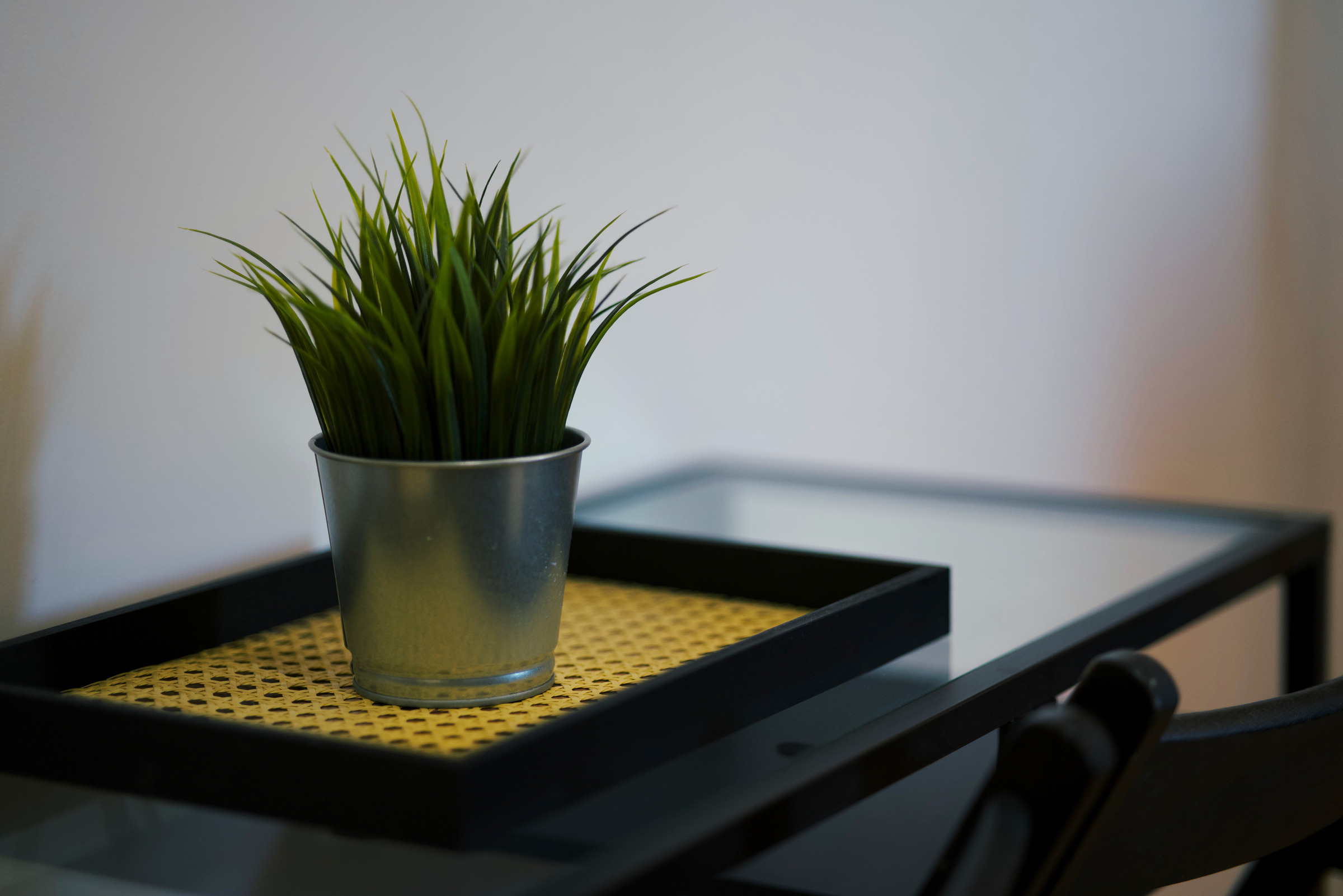 Small plant on a dark dressing table beneath the bedroom mirror.