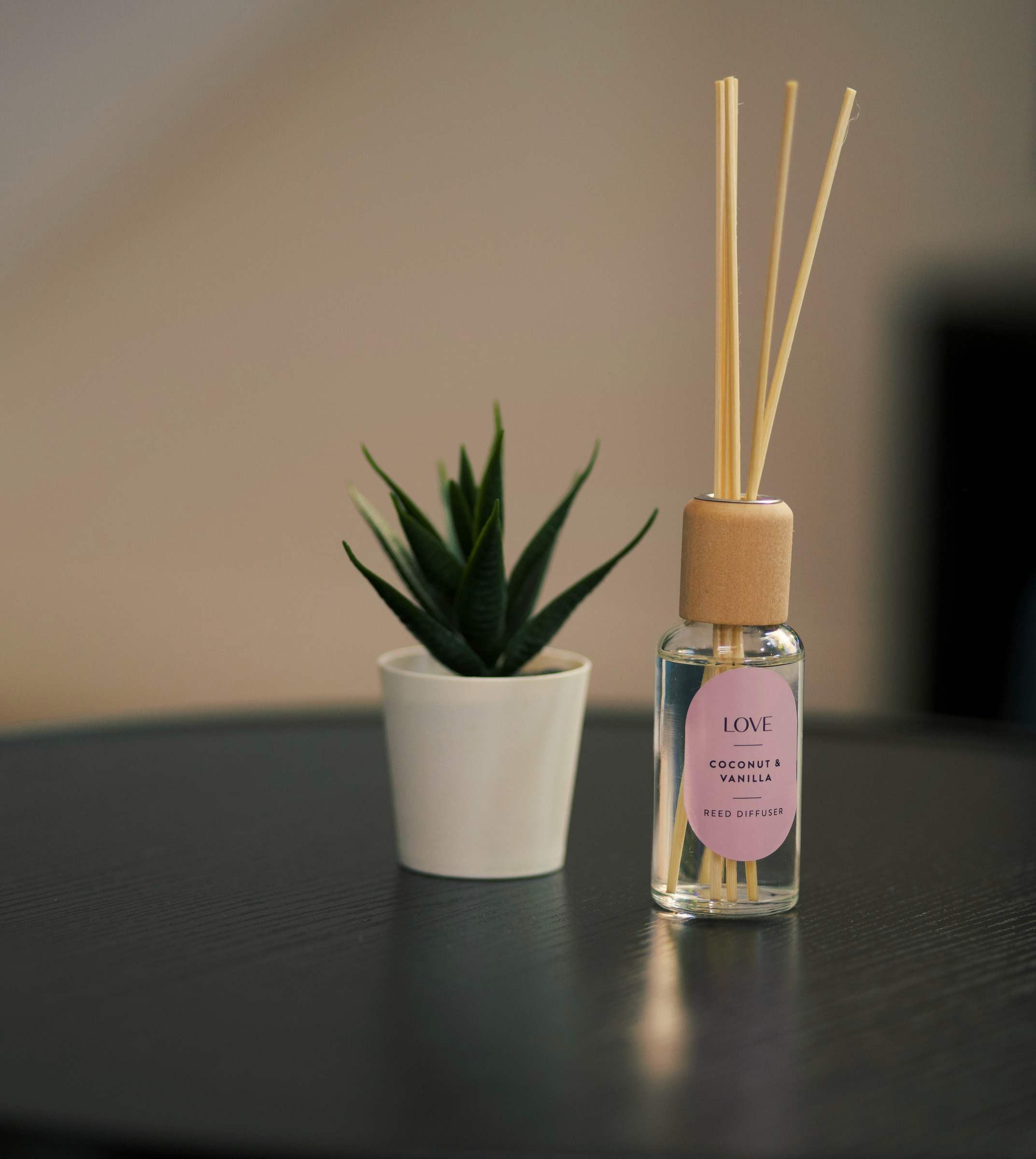 Small plant and reed diffuser on a dark circular lounge table.