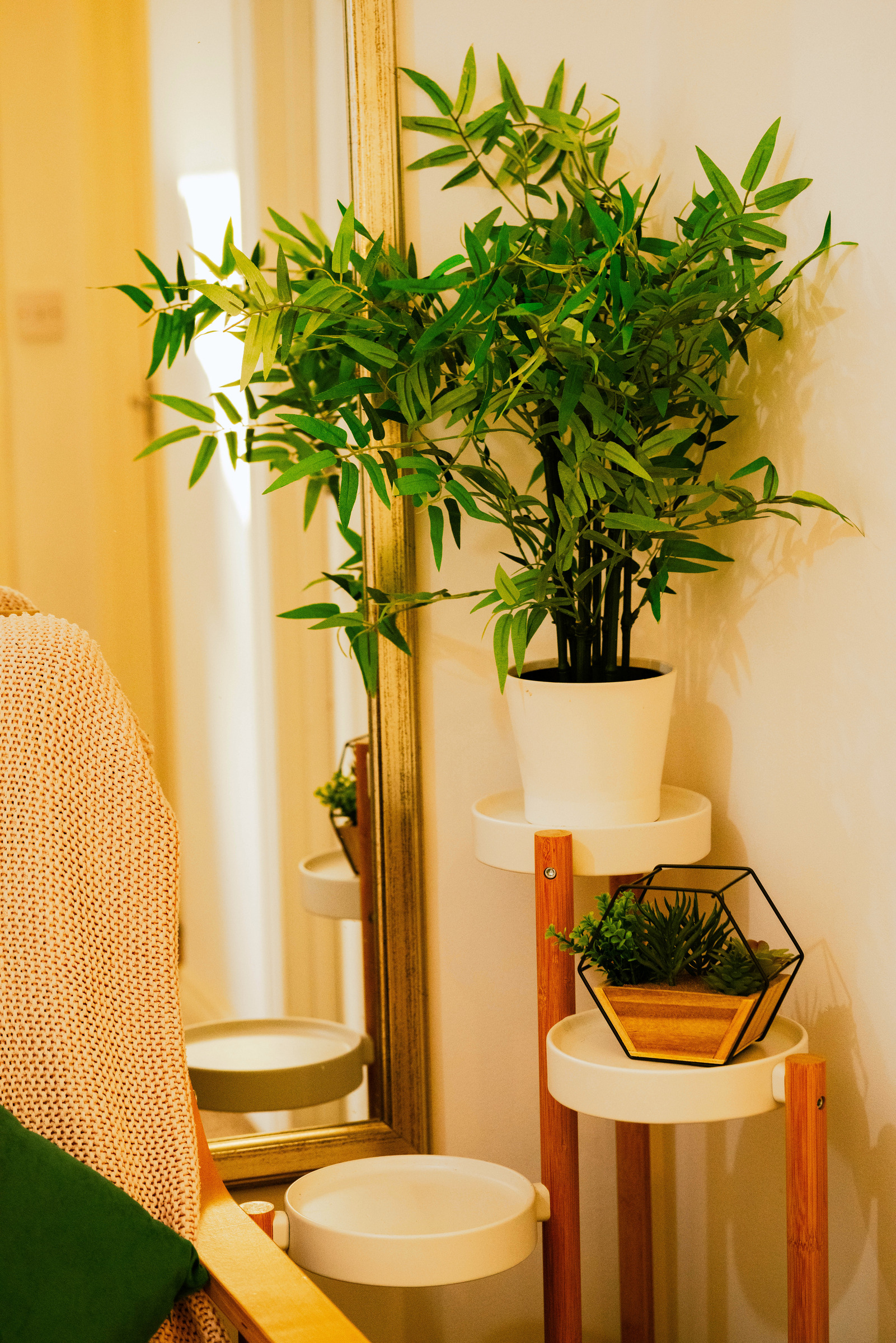 Leafy houseplants and a small side table arranged beside the reading chair.